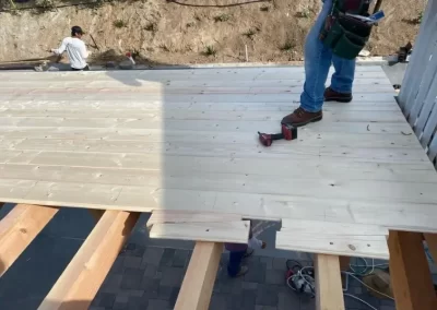 Professional House Building